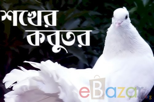 কবুতরের জাত, রোগ ব্যাধি, জীবনকাল ও বৈশিষ্ট্য সমুহঃ