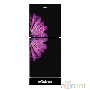 M-224 BLACK ZINNIA (MATCH) Price in Bangladesh.