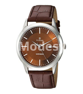Titan Analog Brown Dial Men's Watch-1584SL04