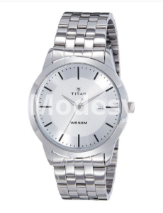 Titan Analog Silver Dial Men's Watch-1584SM03