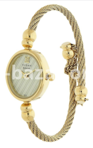 Titan Raga Analog Gold Dial Women's Watch (NJ197YM01)